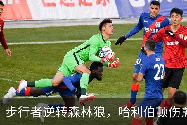 步行者逆转森林狼，哈利伯顿伤愈复出贡献7+6
